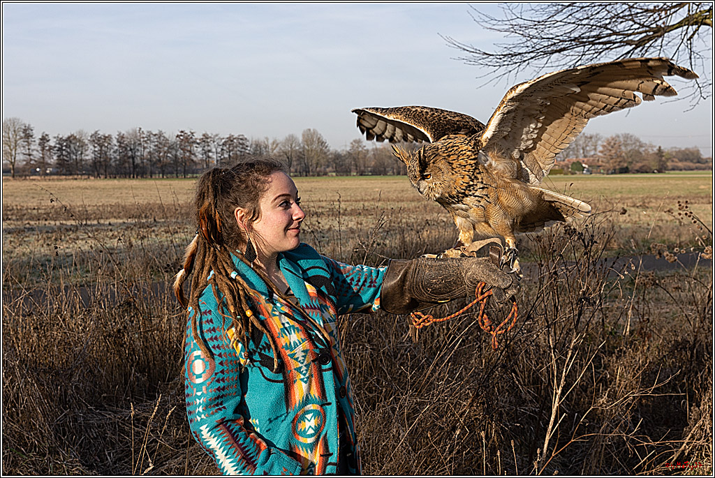 Cheyenne-Halbblut Hunting Wolf in der Falknerei Pierre Schmidt; Gymnich, 09.02.2023